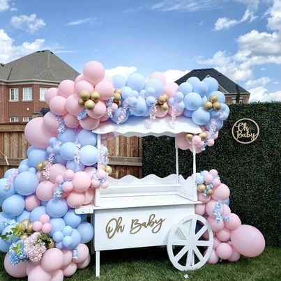 Whimsical Wonders: Baby Shower Cart Theme with Balloon Arch