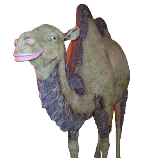 Camel Prop Hire