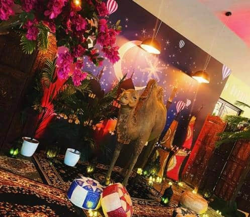 Camel Prop Hire