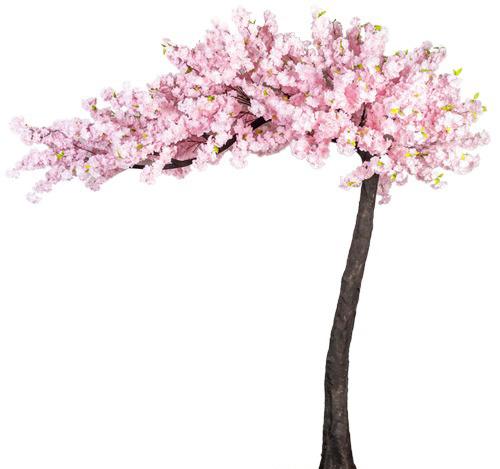 Pink 3 Meter 20 cm Deluxe Artificial Canopy Style Blossom Tree Hire