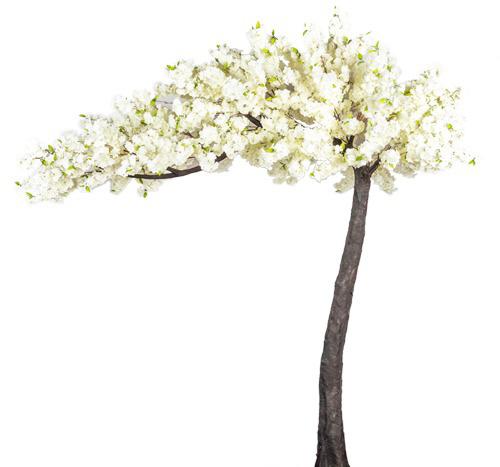 Off White 3 meter 20 cm Deluxe Artificial Canopy Style Blossom Tree Hire