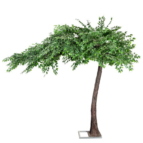 3 meter 20 cm Green Leaves Trees Hire