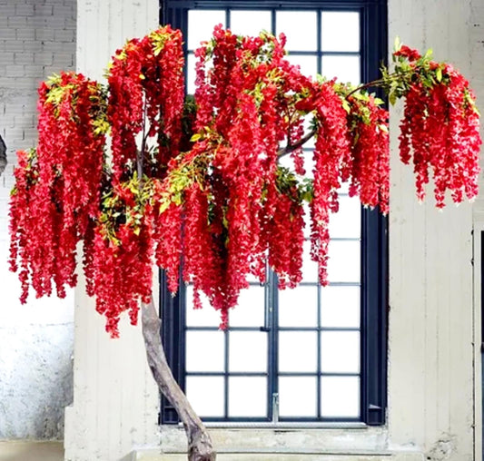 10ft Red Wisteria Tree Hire